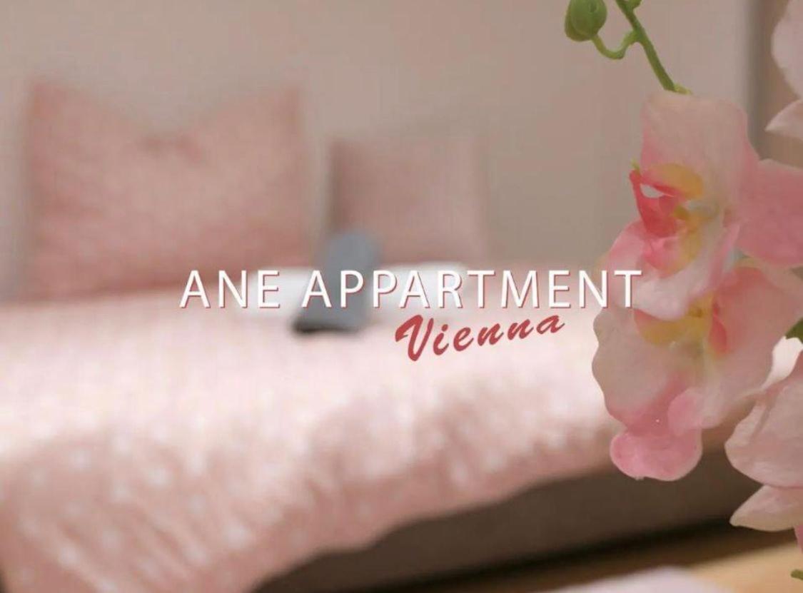 Ane Apartment Βιέννη Εξωτερικό φωτογραφία